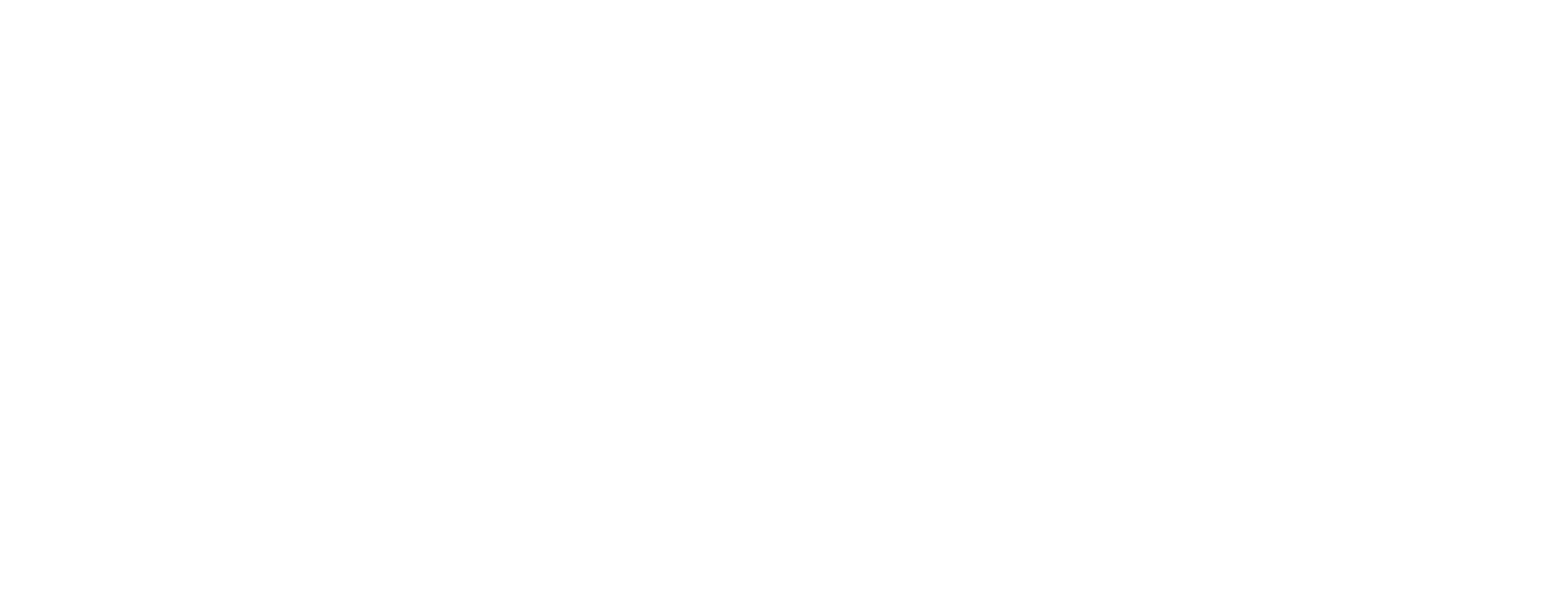 Decize
